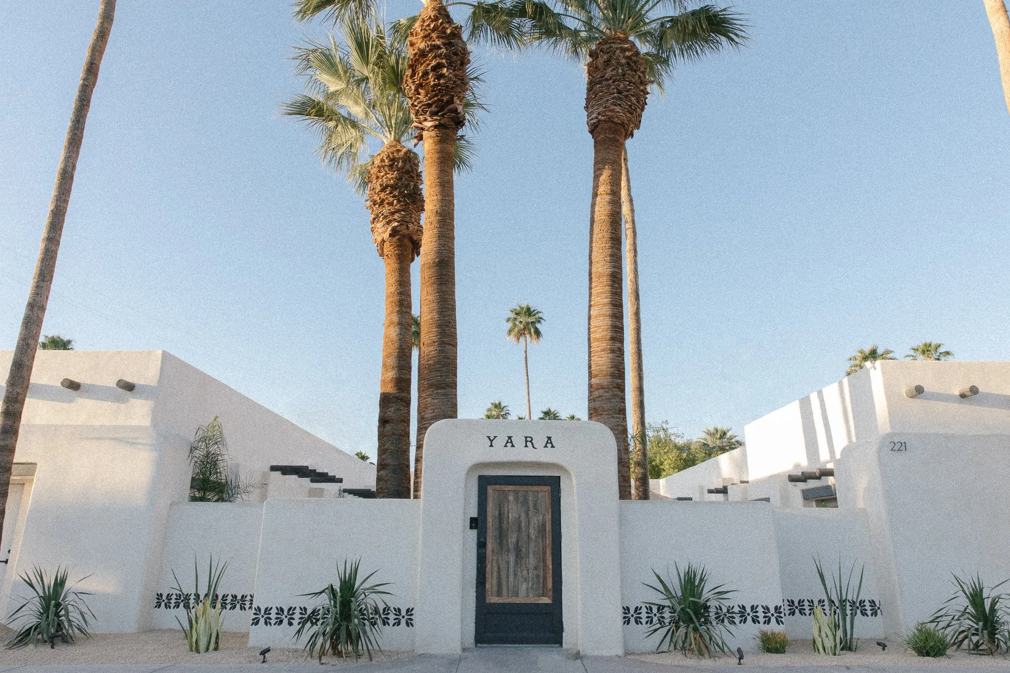 Yara – Palm Springs, California